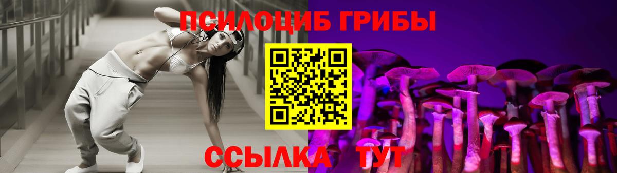 Псилоцибиновые грибы прущие грибы  купить наркотики цена  Псилоцибиновые грибы мухоморы  Коркино  Вход с VPN 